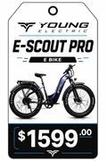 YOUNG ELECTRIC E-SCOUT PRO