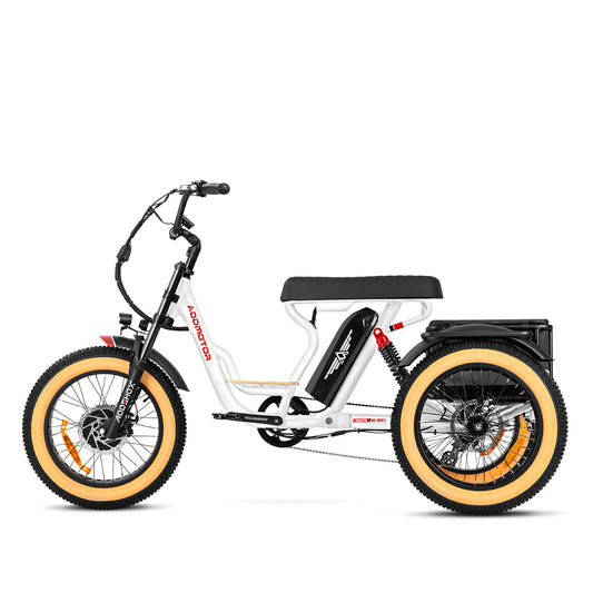 ADDMOTOR TRIKESOLETRI M-366X