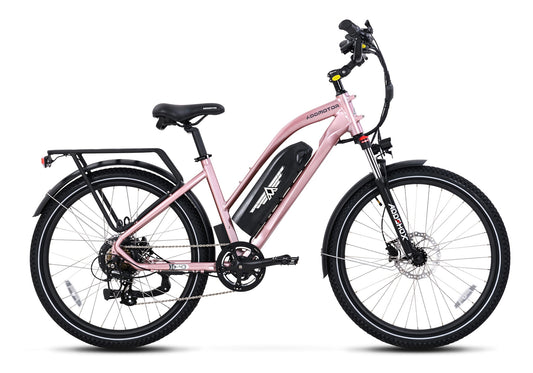 ADDMOTOR CITY PRO-E43