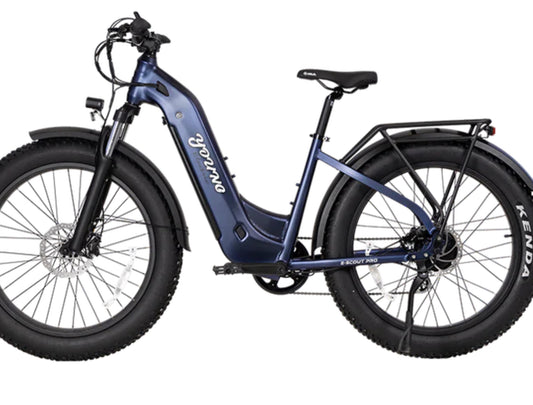 YOUNG ELECTRIC E-SCOUT PRO