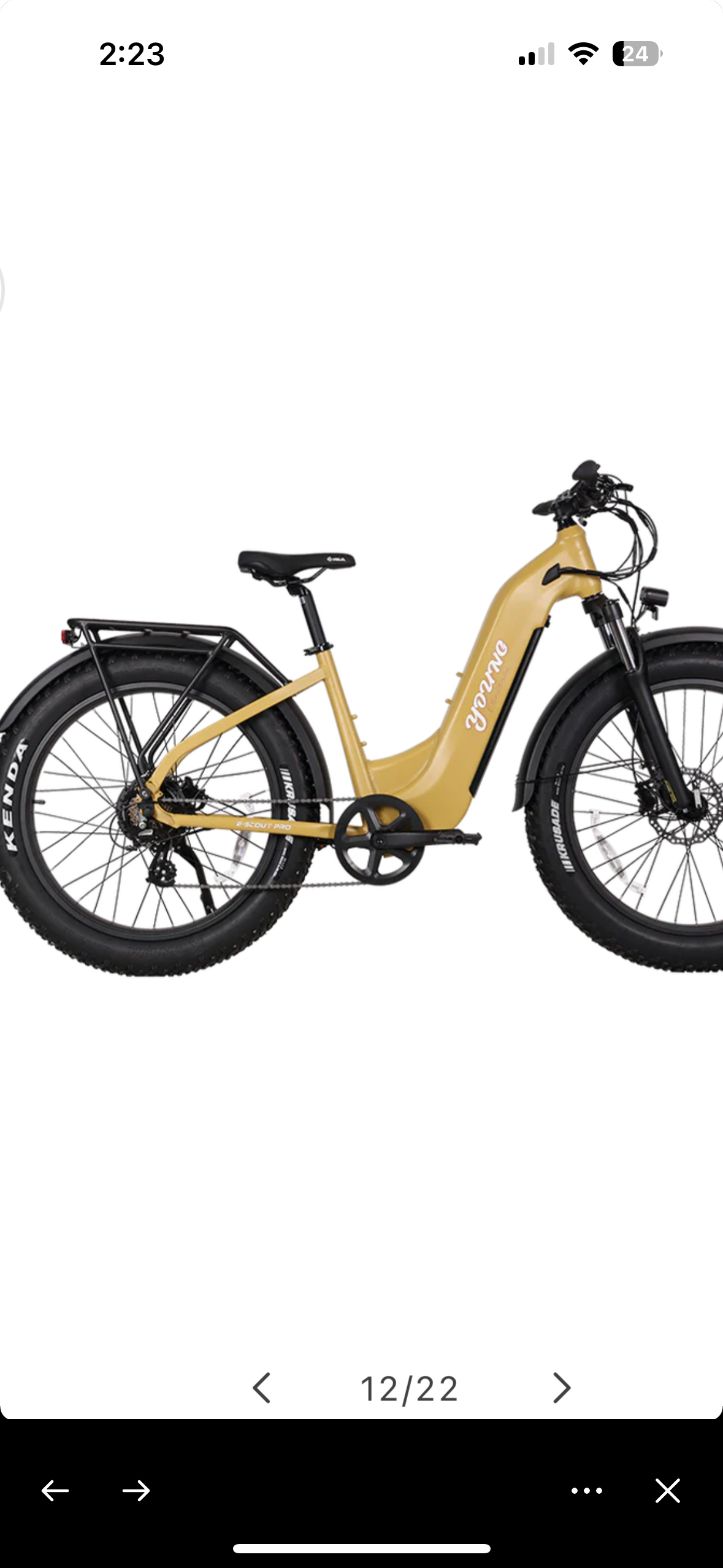 YOUNG ELECTRIC E-SCOUT PRO